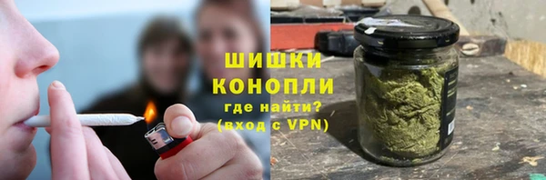 сатива Белоозёрский