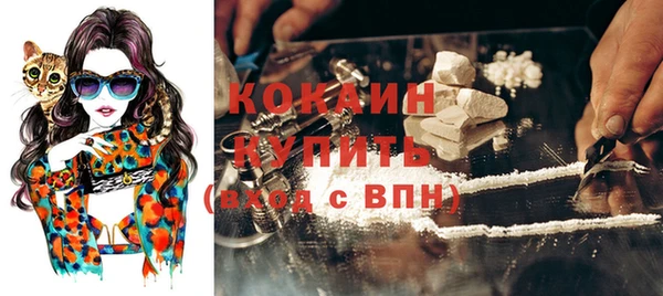 сатива Белоозёрский