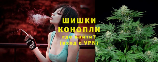 сатива Белоозёрский