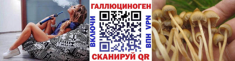 Псилоцибиновые грибы ЛСД  Купить  Белозерск 
